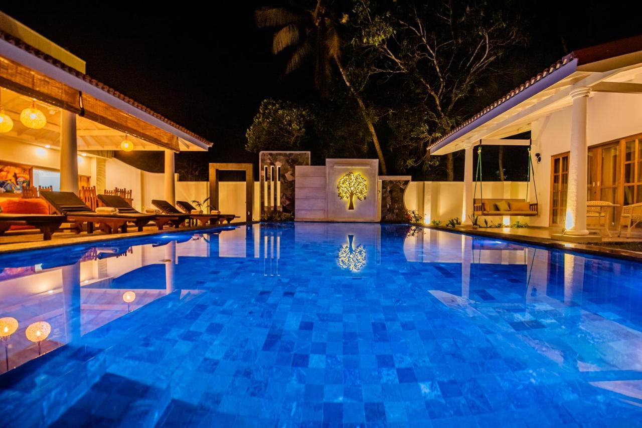 Tree Of Life Resort 本托塔 外观 照片