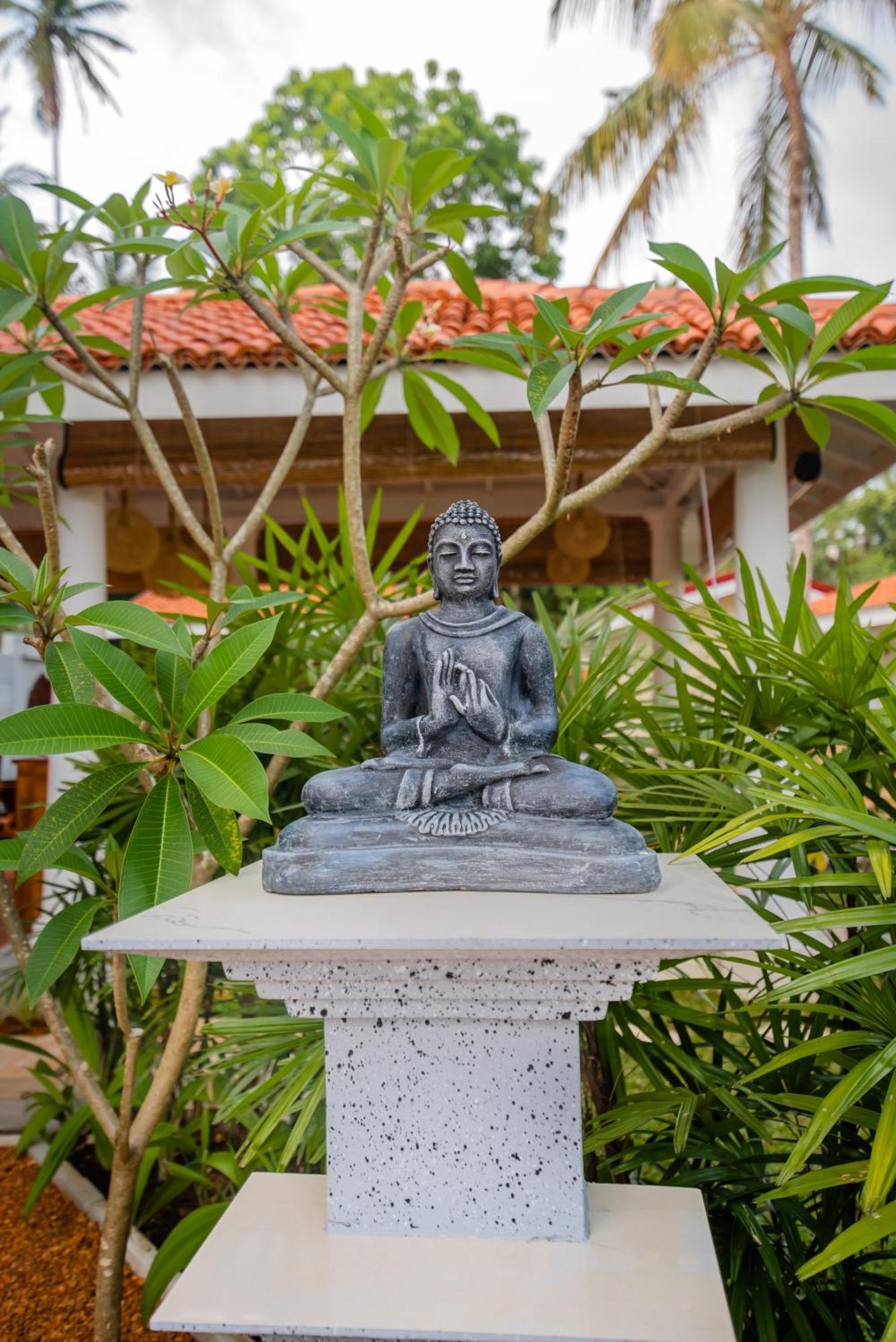 Tree Of Life Resort 本托塔 外观 照片